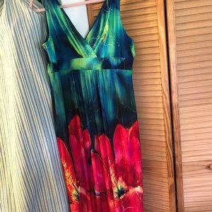 Susan Graver Slinky Tropical Maxi Dress SZ XL